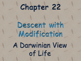 Chapter 22 Descent with Modification