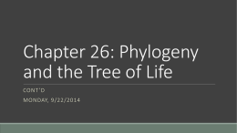 Chapter 26, Phylogeny Cont`d