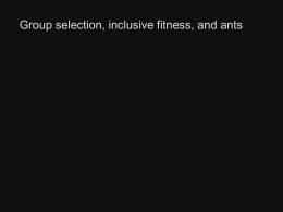 Group selection, inclusive fitness, and ants