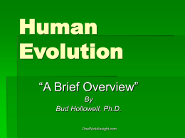 Human Evolution - One World Insight