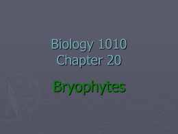 Biology 1010 Chapter 20