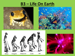 B3 – Life On Earth Food Webs / Competition