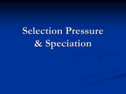 Selection Pressure & Speciation