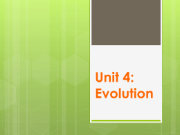 Unit 4: Evolution