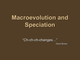Macroevolution and Speciation - Lincoln