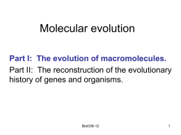 Molecular evolution - University of British Columbia