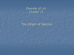 Diversity of Life Chapter 24
