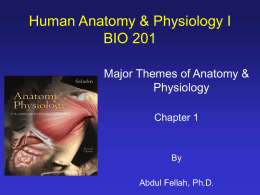 Human Anatomy & Physiology I BIO 201