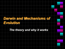 Darwin and Mechanisms of Evolution