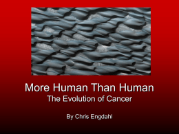 More Human Than Human