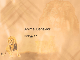 Animal Behavior - Mt. SAC Faculty Contact Directory