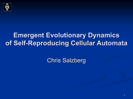 Emergent Evolutionary Dynamics of Self