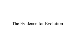 Evidence for Evolution - University of Indianapolis