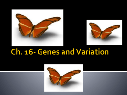 Genetics of Evolution - Ms. Chambers' Biology