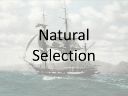 Natural Selection - ESC-2