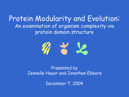 Protein Modularity and Evolution: An examination of