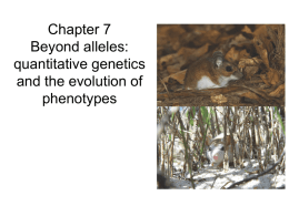 Chapter 7 Beyond alleles: quantitative genetics and the