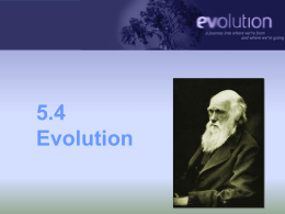 5.4 Evolution - Walnut High School