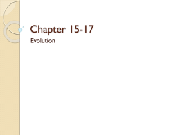 Chapter 15-17