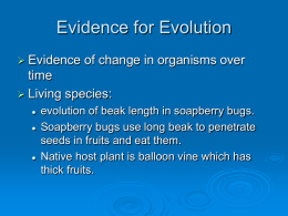Evidence for evolution - Plattsburgh State Faculty and