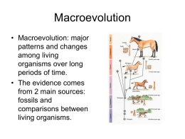 Macroevolution - NIU Department of Biological Sciences