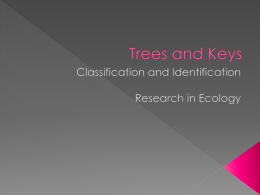 Trees and Keys - University of Miami