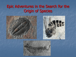 In Search of the Origin of Species