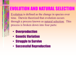 EVIDENCE OF EVOLUTION