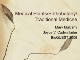 Medical Plants/Enthobotany/ Traditional Medicne