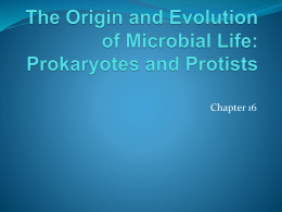 The Origin and Evolution of Microbial Life: Prokaryotes