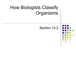 How Biologists Classify Organisms