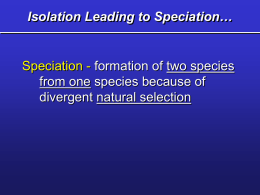 Ecological Niches and Adaptation