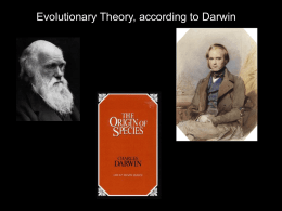 Evolutionary Theory, according to Darwin