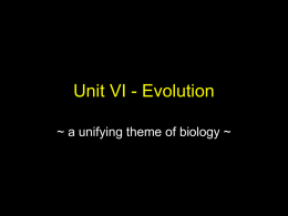 Unit 8 Evolution