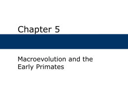 Chapter 5, Macroevolution and the Early Primates