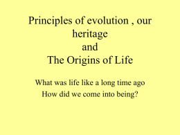 Principles of evolution