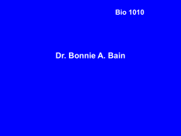 Bio 1010 Dr. Bonnie A. Bain