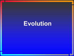 CB-Evolution