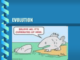 evolution - Scituate Science Department