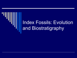 Index Fossils, Evolution and Biostratigraphy