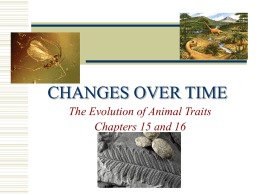 CHANGES THROUGHOUT TIME
