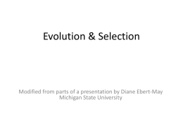 Evolution & Selection