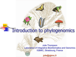 Introduction to Phylogenomics