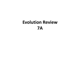 Evolution Review 7A Describe the conclusion that can be made