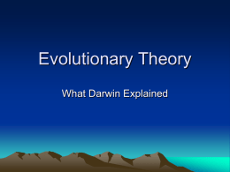Evolutionary Theory 3