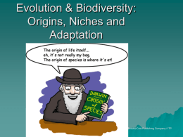 Evolution & Biodiversity: Origins, Niches, Adaptation