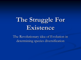 The Struggle For Existence - in a secure place with other