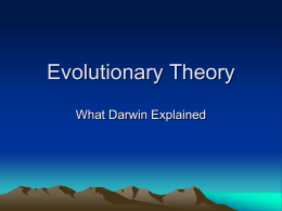 Evolutionary Theory 3 Ppt.