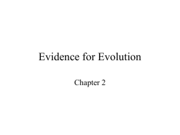 Evidence for Evolution - NAU jan.ucc.nau.edu web server