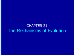Chapter 21: The Mechanisms of Evolution